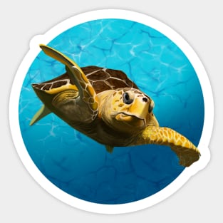 Loggerhead Turtle Sticker